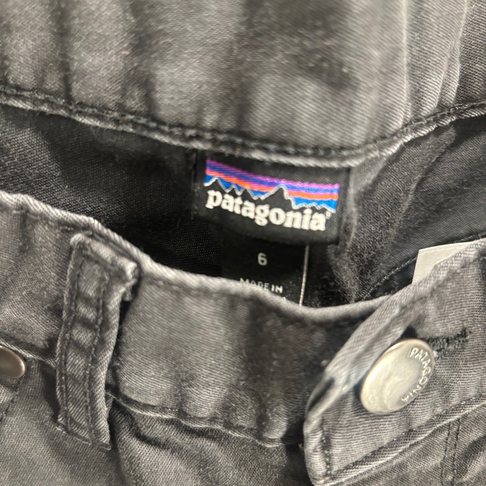 Patagonia pants